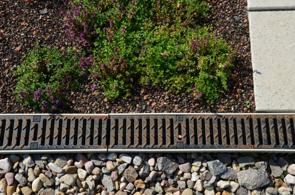 Landscaping Drainage Installation in Santa Rosa