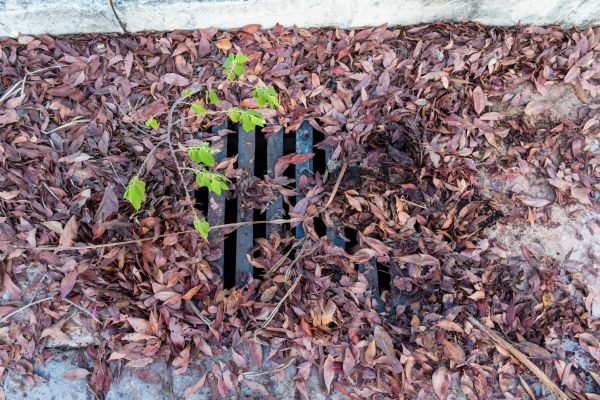Yard Drain Unclogging in Santa Rosa