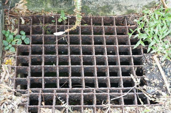Yard Drain Cleaning in Santa Rosa