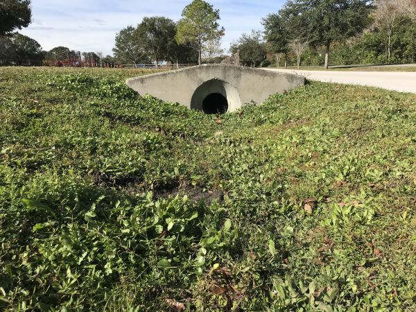Cost of Swale Drainage Service in Santa Rosa